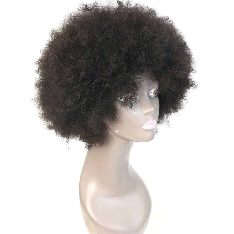 Msbeauty Natural Look Afro Curly Kinky Lace Front 100% Human Hair Wig - MSBEAUTY HAIR