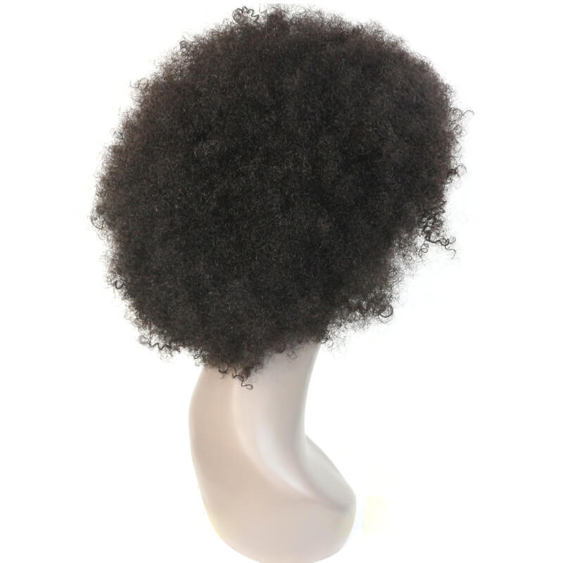 Msbeauty Natural Look Afro Curly Kinky Lace Front 100% Human Hair Wig - MSBEAUTY HAIR
